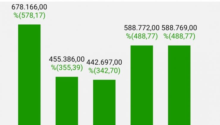 Altın mı dolar mı almali