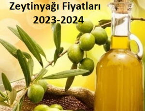 Zeytinyagı Neden Artıyor