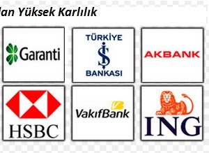 10 Banka 16 milyar dolar Kar