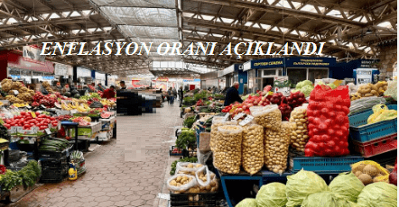 Enflasyon Nasıl Düşecek