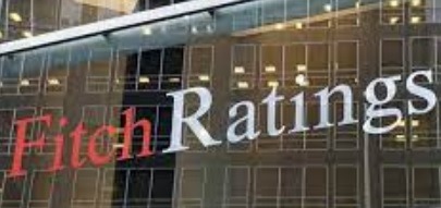 Fitch Türkiye raporu