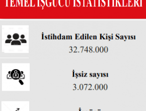 Türkiye de İstihdam Sayısı 2025