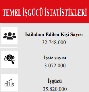 Türkiye de İstihdam Sayısı 2025