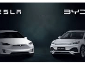 Byd mi Tesla mı