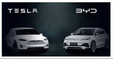 Byd mi Tesla mı