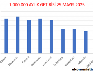 1 Milyon un Aylık Getirisi