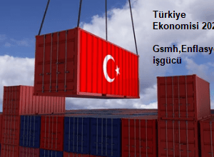 Türkiye 2025 Milli gelir ,Gsmh hedefi