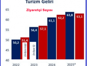Türkiyenin Turizm geliri 63.8 Milyar $